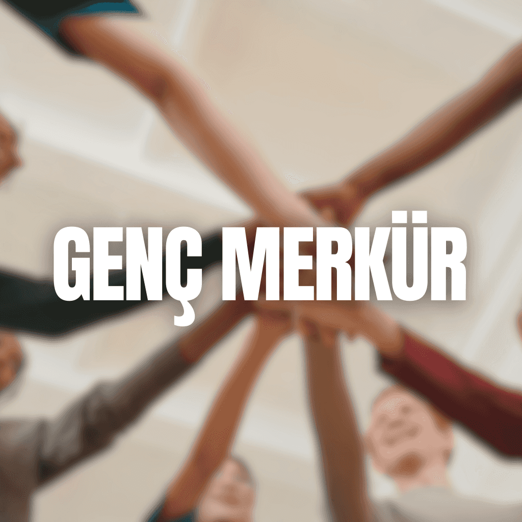 Genç Merkür İletişim Programı