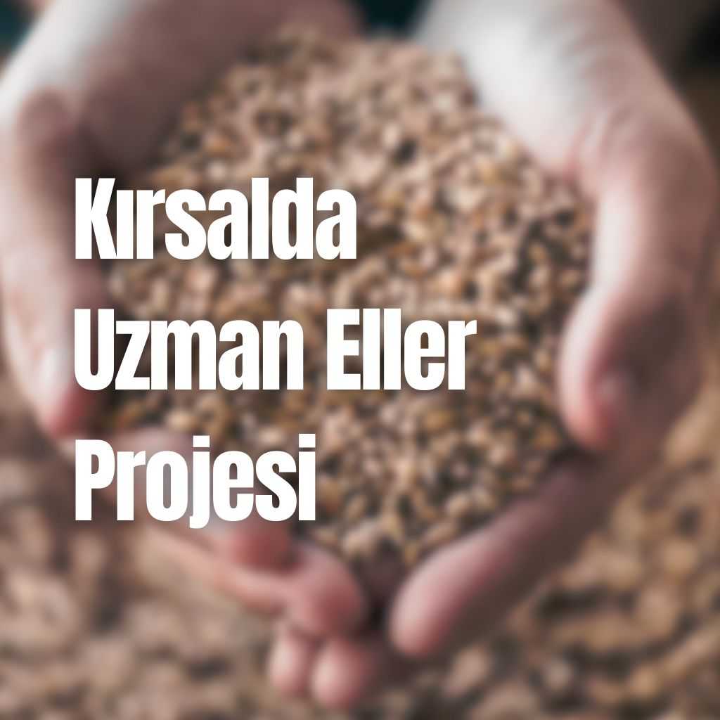 Kırsalda Uzman Eller Projesi