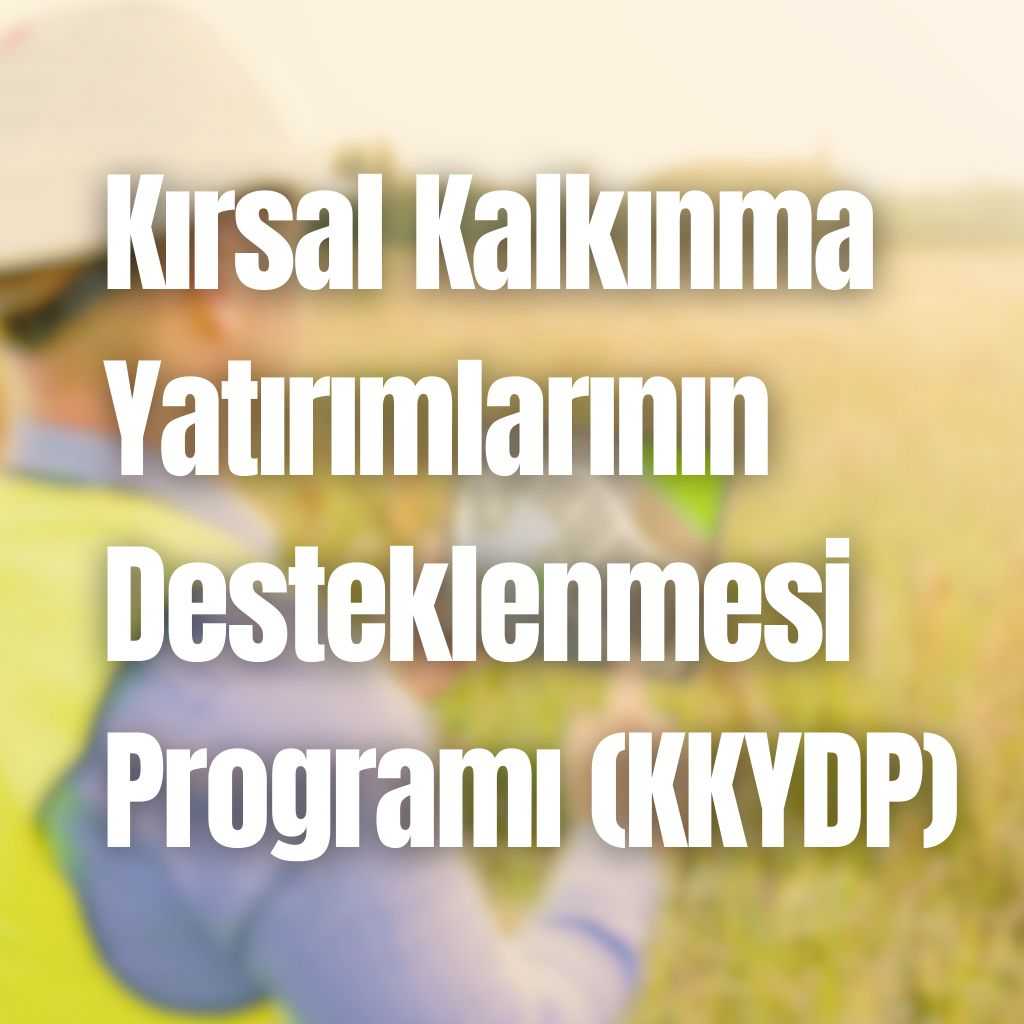 Kırsal Kalkınma Yatırımlarının Desteklenmesi Programı (KKYDP)