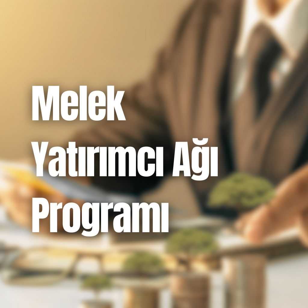 Melek Yatırımcı Ağı Programı