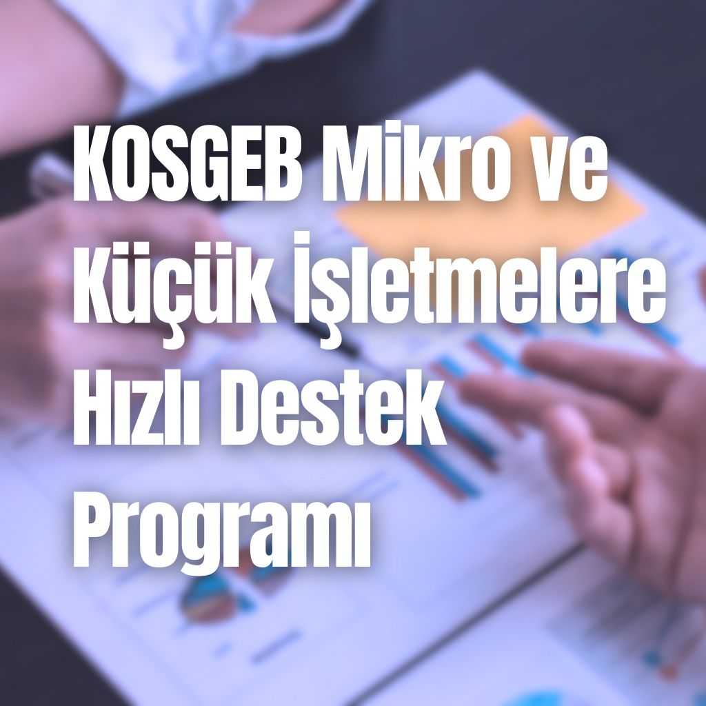 KOSGEB Mikro ve Küçük İşletmelere (MKİ) Hızlı Destek Programı